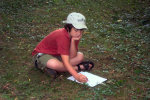 Summer 2006