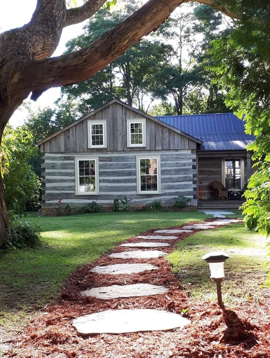 The log cabin from the garden, with weathered log walls, a blue metal roof and a stepping-stone path under a large tree.
